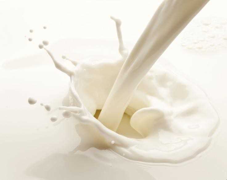 牛奶的营养成分有哪些