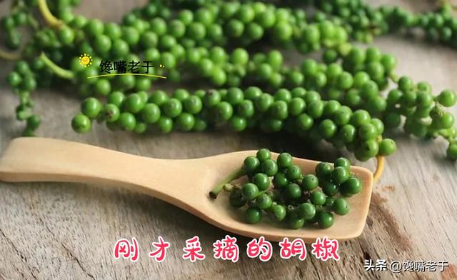 黑白胡椒做调味料有什么用（黑白胡椒一字之差）